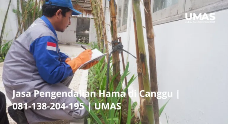 Jasa Pengendalian Hama di Canggu | 081-138-204-195 | UMAS