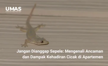 ~blog/2023/8/25/jangan dianggap sepele mengenali ancaman dan dampak kehadiran cicak di apartemen