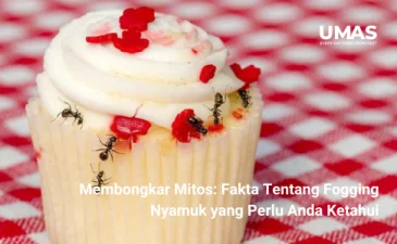~blog/2023/8/26/bolehkah mengonsumsi makanan yang dihinggapi semut temukan jawabannya di sini
