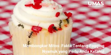 Bolehkah Mengonsumsi Makanan yang Dihinggapi Semut Temukan Jawabannya di Sini