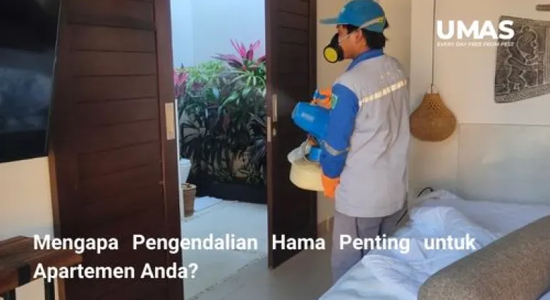 Mengapa Pengendalian Hama Penting untuk Apartemen Anda?