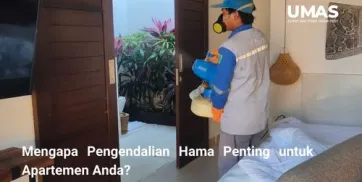 Mengapa Pengendalian Hama Penting untuk Apartemen Anda