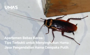 ~blog/2023/8/3/apartemen bebas kecoa  tips terbukti untuk menyingkirkan hama jasa pengendalian hama cempaka putih