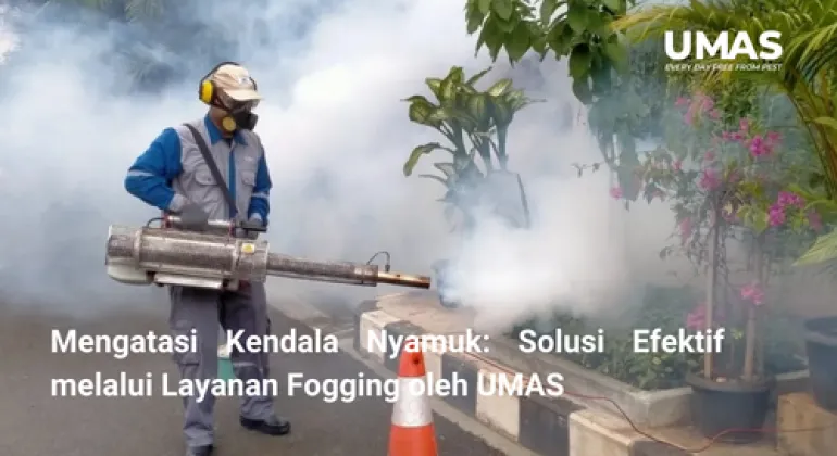 Mengatasi Kendala Nyamuk: Solusi Efektif melalui Layanan Fogging oleh UMAS