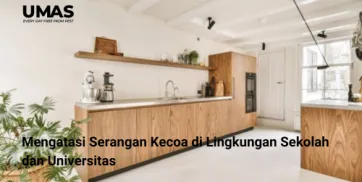 7 Langkah Praktis untuk Menjaga Kitchen Set Tetap Awet dari Serangan Rayap