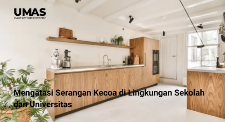 7 Langkah Praktis untuk Menjaga Kitchen Set Tetap Awet dari Serangan Rayap