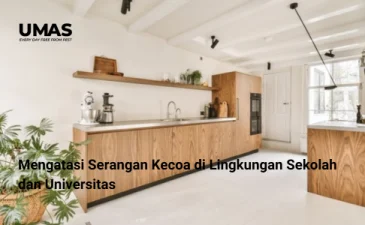 ~blog/2023/8/4/7 langkah praktis untuk menjaga kitchen set tetap awet dari serangan rayap