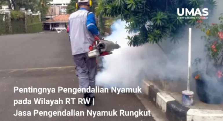 Pentingnya Pengendalian Nyamuk pada Wilayah RT RW | Jasa Pengendalian Nyamuk Rungkut