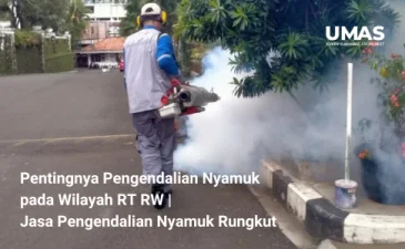 ~blog/2023/8/5/pentingnya pengendalian nyamuk pada wilayah rt rw jasa pengendalian nyamuk rungkut