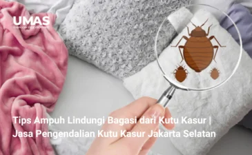 ~blog/2023/8/8/tips ampuh lindungi bagasi dari kutu kasur jasa pengendalian kutu kasur jakarta selatan