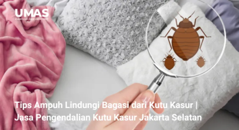 Tips Ampuh Lindungi Bagasi dari Kutu Kasur | Jasa Pengendalian Kutu Kasur Jakarta Selatan