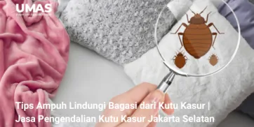 Tips Ampuh Lindungi Bagasi dari Kutu Kasur  Jasa Pengendalian Kutu Kasur Jakarta Selatan