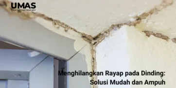 Menghilangkan Rayap pada Dinding Solusi Mudah dan Ampuh