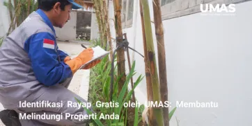 Identifikasi Rayap Gratis oleh UMAS Membantu Melindungi Properti Anda