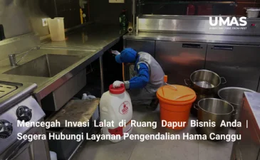 ~blog/2023/9/14/mencegah invasi lalat di ruang dapur bisnis anda segera hubungi layanan pengendalian hama canggu