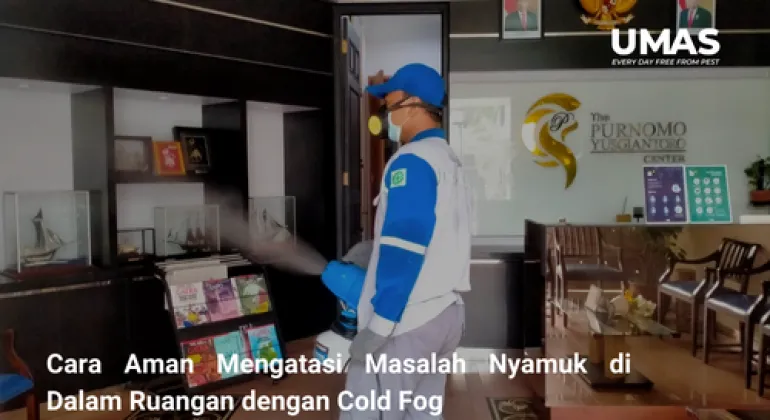 Cara Aman Mengatasi Masalah Nyamuk di Dalam Ruangan dengan Cold Fog