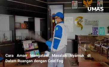 ~blog/2023/9/18/cara aman mengatasi masalah nyamuk di dalam ruangan dengan cold fog