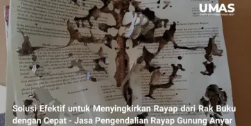 Solusi Efektif untuk Menyingkirkan Rayap dari Rak Buku Anda dengan Cepat dan Mudah