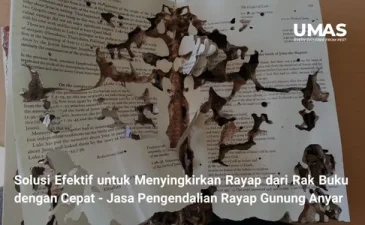 ~blog/2023/9/19/solusi efektif untuk menyingkirkan rayap dari rak buku anda dengan cepat dan mudah