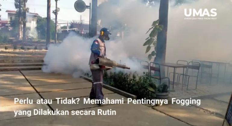 Perlu atau Tidak? Memahami Pentingnya Fogging yang Dilakukan secara Rutin