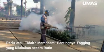 Perlu atau Tidak Memahami Pentingnya Fogging yang Dilakukan secara Rutin