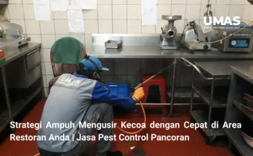 ~blog/2023/9/20/strategi ampuh mengusir kecoa dengan cepat di area restoran anda jasa pengendalian hama pancoran