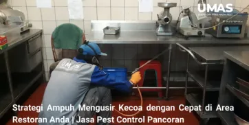 Strategi Ampuh Mengusir Kecoa dengan Cepat di Area Restoran Anda  Jasa Pengendalian Hama Pancoran