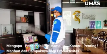 Mengapa Pengendalian Hama di Kantor Penting  Manfaat dan Dampaknya bagi Produktivitas  Jasa Pengendalian Hama Menteng