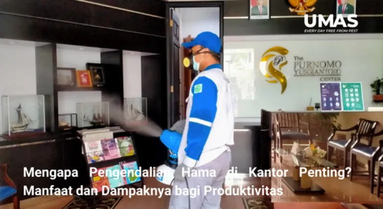 Mengapa Pengendalian Hama di Kantor Penting? | Manfaat dan Dampaknya bagi Produktivitas | Jasa Pengendalian Hama Menteng