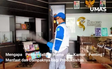 ~blog/2023/9/22/pelajari mengapa pengendalian hama di kantor penting untuk meningkatkan produktivitas temukan manfaat dan dampaknya hubungi jasa pengendalian hama menteng untuk solusi profesional 