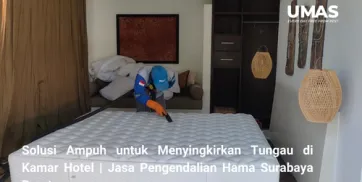 Solusi Ampuh untuk Menyingkirkan Tungau di Kamar Hotel  Jasa Pengendalian Hama Surabaya Barat