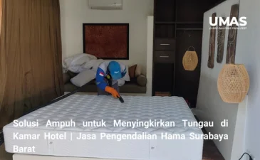 Solusi Ampuh untuk Menyingkirkan Tungau di Kamar Hotel  Jasa Pengendalian Hama Surabaya Barat