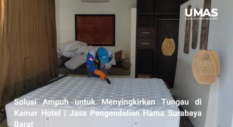 Solusi Ampuh untuk Menyingkirkan Tungau di Kamar Hotel | Jasa Pengendalian Hama Surabaya Barat